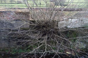 About Why 01 - Out of Nowhere