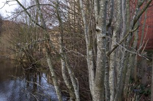 About Why 02 - Its complicated