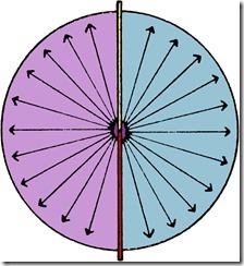 Diffuse and Specular Density Cropped